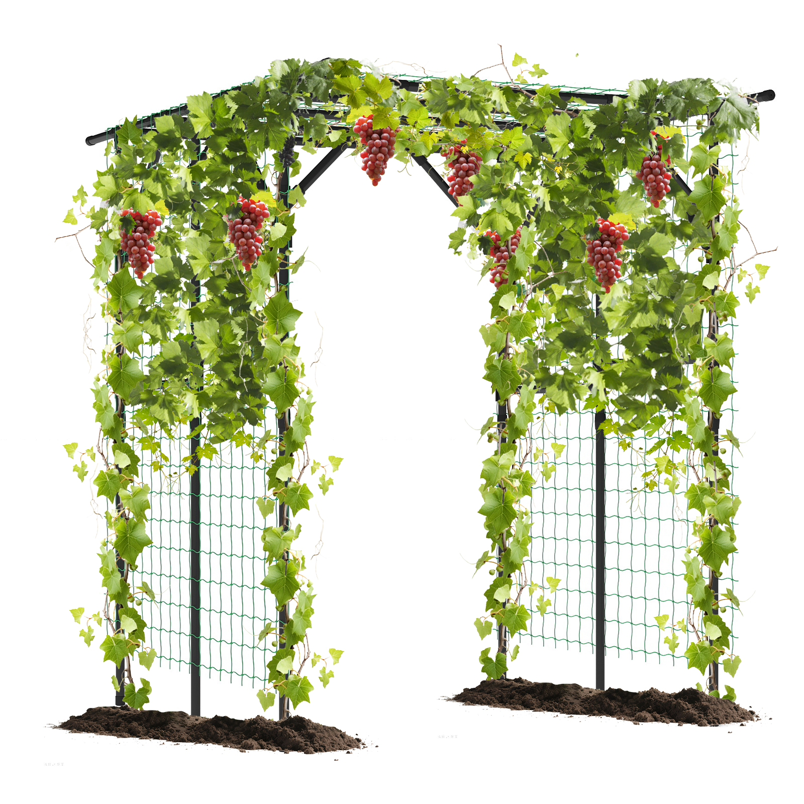 Pergola ogrodowa z siatką idealna pod ogórki i pnącza