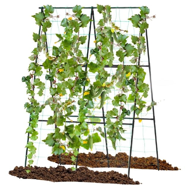 Pergola ogrodowa z dołączoną siatką na pnącza