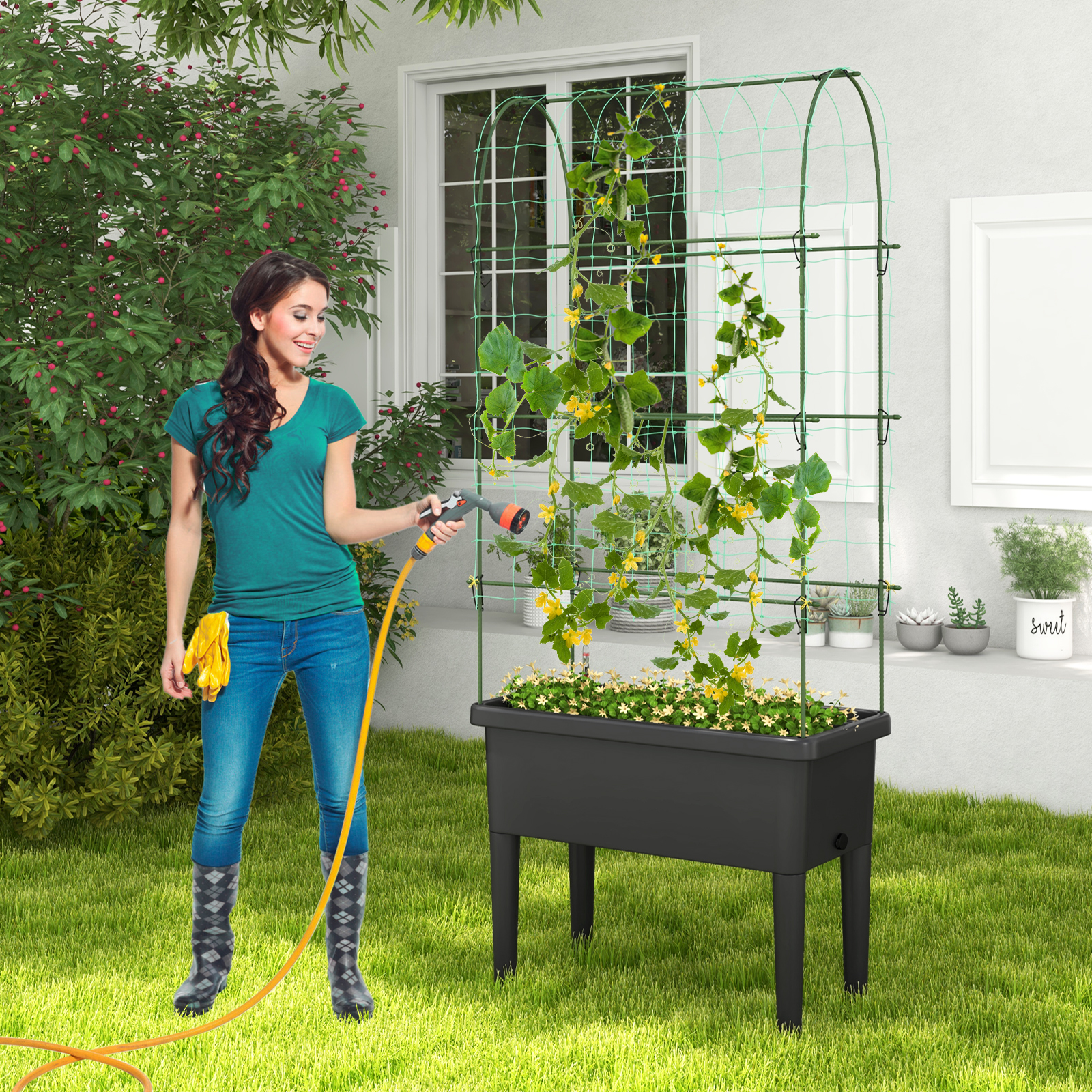 Ergonomiczna wysokość donicy i pergola dla roślin pnących
